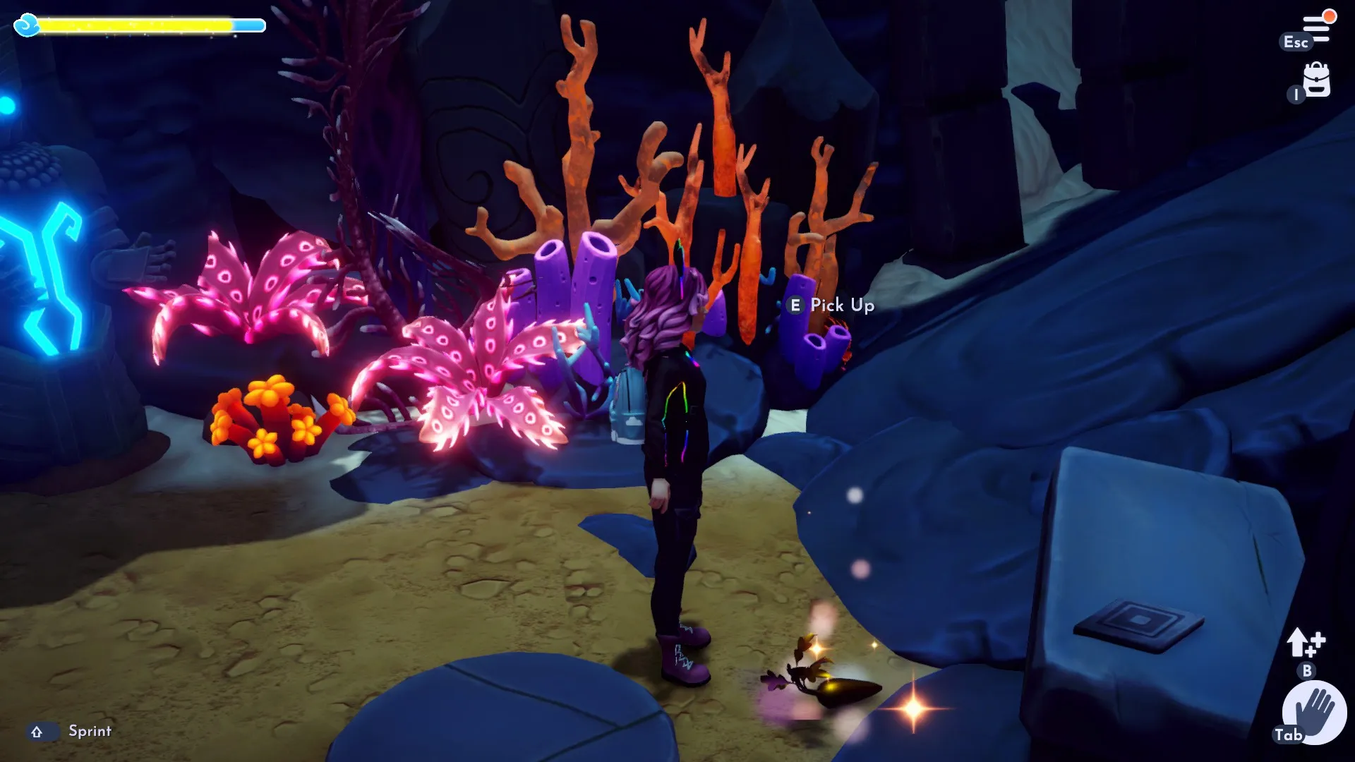 The player looking at a golden carrot.