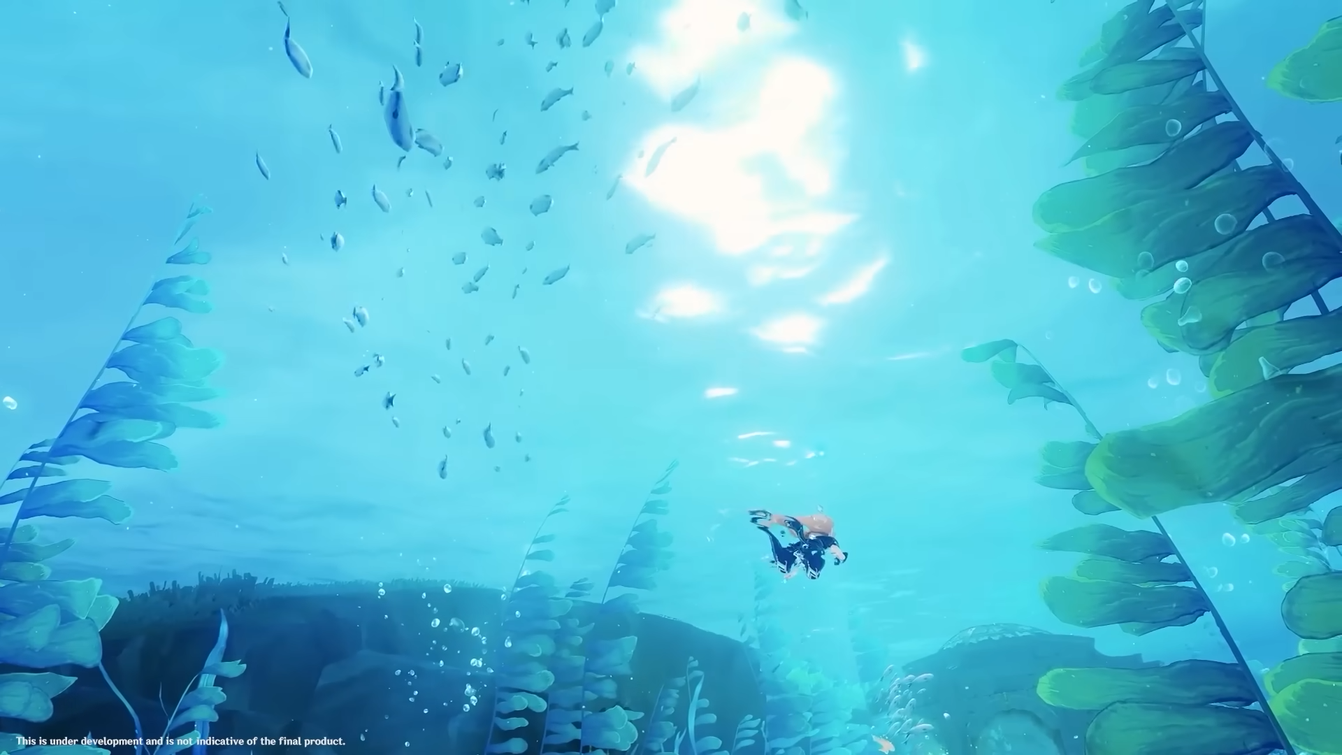 The Traveler swimming underwater.